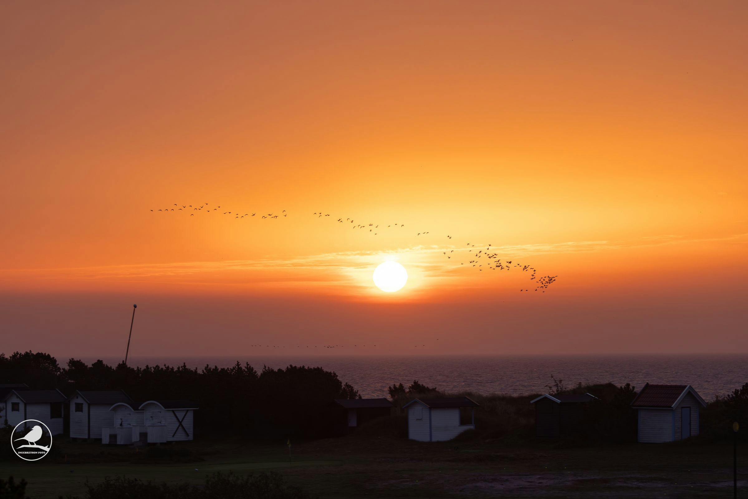 Fuglene trekker i det solen går opp, tatt fra Kolabacken.